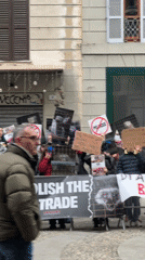 Animal rights protesters target fur trade in Milan demonstration