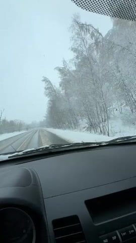 A car is driven along a snow-covered road in Zubovo, Russia, during daytime under overcast conditions. The road itself appears wet and slushy in places, with snow packed on the shoulders and median. Dense trees, heavily laden with fresh snow, line both sides of the road, creating a winter wonderland scene. The video is shot from the driver's perspective, showing the dashboard and windshield. Buttons on the car's console are visible, labeled "PAGE," "DISP," "1 RPT," and "2 RDM." A portion of a gauge, likely a tachometer, is also visible on the left side of the dashboard.
