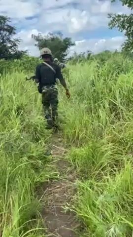 The video shows a small group of armed individuals walking through a grassy field. The individuals appear to be wearing military-style clothing and carrying rifles. They are walking in a single file, moving away from the camera, through tall green grass. The environment includes a cloudy sky, scattered trees, and other vegetation. The overall scene suggests a patrol or search operation in a rural or semi-rural area.