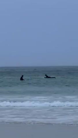 Two people are surfing in a body of water, likely the ocean, under a cloudy sky. The water is light green and slightly choppy with small waves rolling towards the shore.

The camera then pans to reveal a beach, followed by snow-covered mountains in the background. The beach is a light gray color, and there are a few dark rocks visible on the shore. The sky is overcast and gray, creating a muted, cold atmosphere.