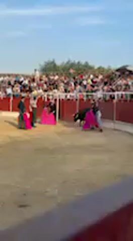 This video captures a bullfighting event taking place in a bullring in San José del Valle, Spain, under a clear, sunny sky, likely in the late afternoon. The scene features a dirt arena enclosed by a red wooden barrier, with a large crowd of spectators seated in the stands behind it.

In the arena, several bullfighters are interacting with a black bull. At the beginning of the clip, one individual is seen on the ground near the bull, having seemingly been knocked over. Other bullfighters, dressed in traditional attire and holding brightly colored capes (mostly magenta with some yellow/gold lining), immediately move to distract the bull and draw its attention away from the fallen person. The individual on the ground is then seen getting up or being helped. The bull subsequently engages with other bullfighters, who skillfully use their capes to direct its movements within the ring. The atmosphere appears to be lively, with the crowd actively observing the unfolding event. No discernible text is visible within the footage.