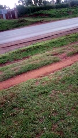 The video shows a view of a road from an elevated perspective. A road runs along the left side of the frame. It is flanked by green vegetation and patches of red soil. A vehicle, appearing to be a van, drives on the road from left to right. The right side of the frame is predominantly covered with green grass. The camera angle seems to be tilting slightly.