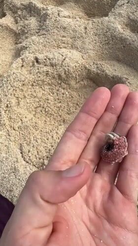 Beachgoer holds hermit crab in Pilar, Philippines