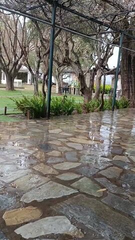 The video shows a rainy outdoor scene with a stone tile ground. The ground is wet, with puddles forming between the tiles. In the background, there is a grassy lawn with trees, some of which are bare. There are also tables and chairs visible on the lawn. A structure with vertical support beams is visible over the tile ground. The sky is overcast. There is speech in the background, but the speaker is not visible.