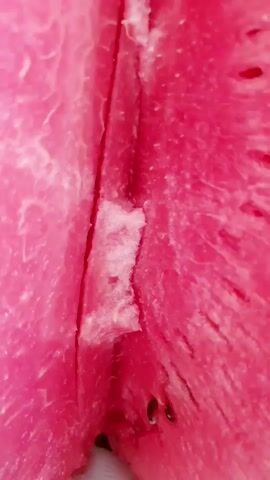 This video shows a close-up, extreme close-up view of the interior of a cut watermelon. The focus is on the bright pink flesh, the black seeds, and a lighter, fibrous white substance in the center where the watermelon was cut. The camera moves slightly, offering different perspectives of the texture and details of the fruit. No people or other objects are visible. The lighting is bright, illuminating the vibrant colors of the watermelon.