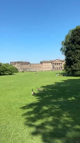 The video shows a large, grassy lawn in front of a grand building with classical architecture. Several people are scattered across the lawn, some walking and others sitting. In the foreground, three geese are grazing on the grass. The sky is clear and blue, indicating a sunny day. The building appears to be a palace or a museum, with multiple levels and columns. Trees are visible on the left and right sides of the frame. The overall scene suggests a peaceful and leisurely day in a park or garden setting.