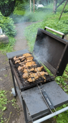 Backyard barbecue gathering documented in Trudovaya, Russia