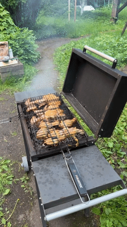 Backyard barbecue gathering documented in Trudovaya, Russia
