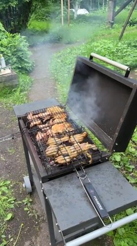 Backyard barbecue gathering documented in Trudovaya, Russia
