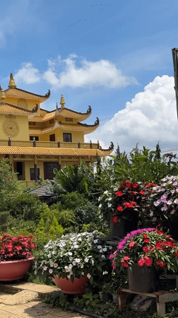 Traditional yellow pagoda captured amid gardens in Da Lat