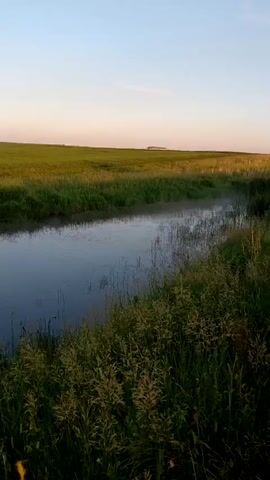 This vertical media file captures a serene rural landscape at dawn or dusk, likely in Vozdvizhenka, Russia. The scene is dominated by a narrow, calm body of water, possibly a stream or small river, flowing through lush green grass and reeds. A gentle mist hovers just above the water's surface, adding a touch of ethereal beauty to the early morning or late evening light.

The background reveals expansive fields of green grass that stretch towards the horizon. In the distance, a solitary, elongated building with a light-colored roof stands against the pale, pinkish-orange sky, suggesting a rural dwelling or farm structure. The sky itself is a soft gradient of light blue near the top, fading into warm hues of pink and orange closer to the horizon, indicative of either sunrise or sunset.

The overall mood is one of tranquility and peacefulness, emphasizing the natural beauty of the countryside. There are no people or explicit objects depicted that suggest specific activity beyond the natural flow of water and the presence of the distant building. The camera appears to be positioned on the bank of the waterway, looking across and slightly down the stream. The soft light and gentle mist contribute to a calming and idyllic atmosphere. No visible text is present in the media file.