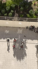 Dance rehearsal observed in Bragança courtyard