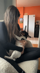 Woman sits with small dog in Sofia chair