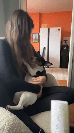 Woman sits with small dog in Sofia chair