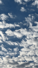 Zagreb resident captures everyday moments: aircraft, wildlife, waterside scenes