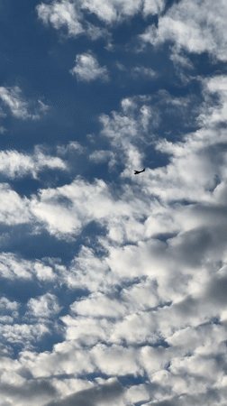 Zagreb resident captures everyday moments: aircraft, wildlife, waterside scenes