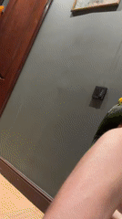 Family afternoon with pet parrot in Khimki home