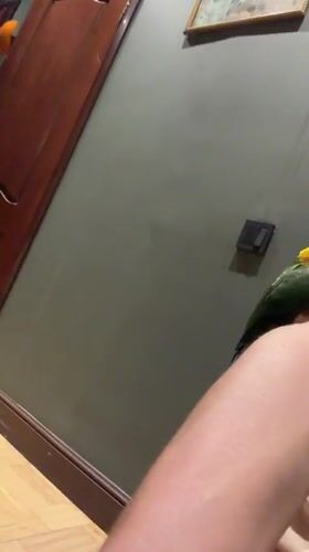 Family afternoon with pet parrot in Khimki home