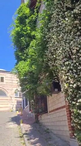 Historic Istanbul mosque and street tour