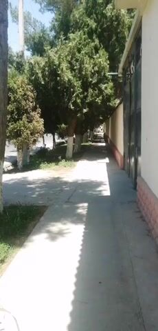 A person walks down a sidewalk next to a street lined with trees. The person turns their head and speaks to someone behind them. Another person is then seen walking behind the first person. The video appears to have been taken outdoors during the daytime, as indicated by the sunlight and shadows.