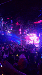 Sofia nightclub hosts anniversary celebration with performances, dancing