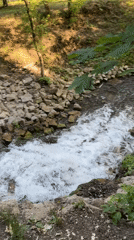 Rocky stream flows through sunlit forest near Vysokaya Gora