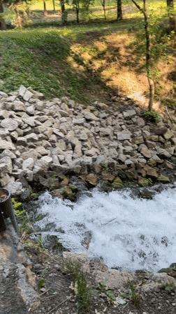 Rocky stream flows through sunlit forest near Vysokaya Gora