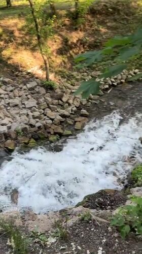 Rocky stream flows through sunlit forest near Vysokaya Gora