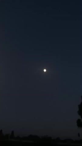 The video shows the moon in a dark night sky. The moon is a bright, circular shape in the center of the frame. The sky is a deep shade of blue. In the bottom of the frame, there are silhouettes of trees and buildings.