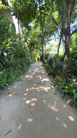 A woman is walking along a sandy path surrounded by lush greenery. She is wearing sunglasses, a blue and white striped shirt, and a tank top. She has long brown hair. The path is lined with trees and plants, and the sun is shining through the leaves. The camera appears to be hand-held, providing a first-person perspective of the woman's walk.