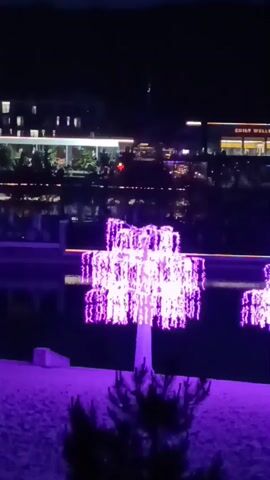 The video displays a nighttime outdoor scene. In the foreground, two decorative trees are brightly illuminated with vibrant purple lights, reflecting their glow onto the surrounding ground, which also appears purple. A dark body of water, possibly a pond or canal, separates the foreground from the background. Across the water, several buildings are visible, illuminated by various lights. One building clearly displays a sign that reads "WELLNESS & SPA - GYM," and another sign, partially visible, appears to be "WHOLE FOODS." Streetlights and other building lights are also visible, casting reflections on the water. The camera performs a slow, continuous pan to the right, gradually revealing more of the illuminated trees and the background structures. The sky is dark, indicating the nighttime setting.