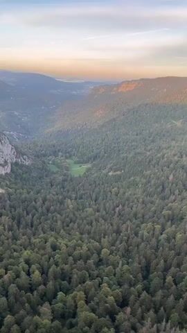 This is a vertical video of a vast, deep forest valley in a mountainous region during golden hour. The sun is setting, casting a warm glow on the distant mountain peaks and the sky, which is a mix of blue and soft orange and pink hues with some wispy clouds. The forest is dense with dark green evergreen trees filling the valley floor and climbing the slopes. In the distance, a lighter patch of green suggests a clearing or a meadow within the forest. The camera pans slowly to the right, revealing a dramatic rocky cliff face on the far side of the valley. The cliff is layered and appears to be made of light-colored rock, with patches of vegetation clinging to its surface. The foreground of the video features dry, golden-brown grass and a rocky edge, implying the viewpoint is from a high vantage point overlooking the valley, likely a cliff edge. There are no people or animals visible in the video. The overall impression is one of a serene, natural landscape at dusk.