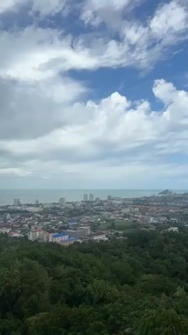 A slow pan shot from left to right reveals a panoramic view of a coastal city under a partly cloudy blue sky. In the foreground, lush green trees and foliage cover a hillside. Beyond the trees, the city spreads out, with buildings of various heights and colors. In the distance, the ocean stretches to the horizon, meeting the sky. The camera slowly moves to the right, encompassing more of the city and the surrounding landscape, including a distant mountain range. The overall impression is one of a bustling urban center nestled between the natural beauty of the coast and the hills.