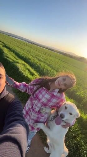 Couple walks golden retriever through Bulgarian countryside fields