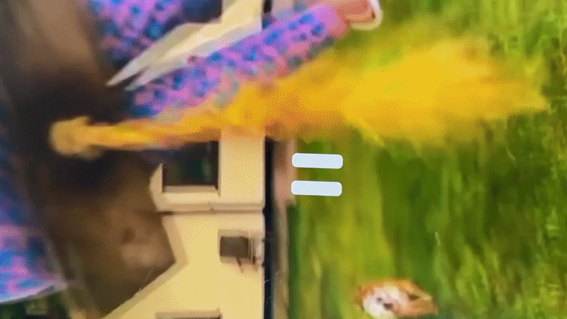 Person and curious orange cat filmed in Stavropol