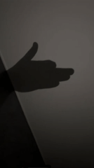 Shadow play session documented in Bulgarian village overnight