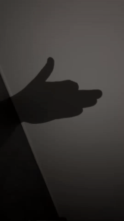 Shadow play session documented in Bulgarian village overnight