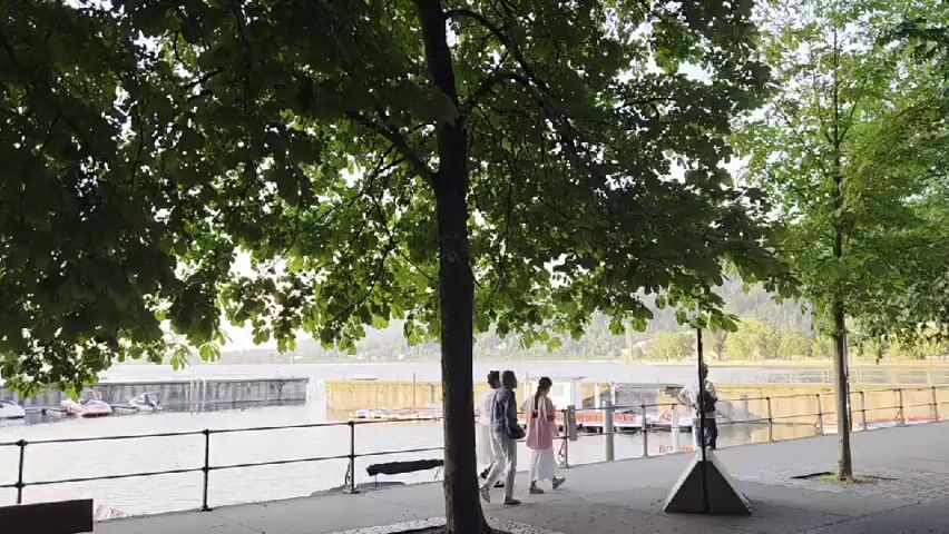 This media file captures a serene scene by the water in Bregenz, Austria. In the foreground, a large, leafy tree provides shade, its branches extending over a paved walkway. Beneath the tree, a wooden picnic table and bench are visible.

Beyond the walkway, a body of water is lined with a metal railing. Several small boats, including what appear to be paddle boats, are docked along the water's edge. Further back, floating structures or docks are present, with some buildings on the opposite shore. The background shows a gentle slope of land covered in greenery and trees, suggesting a picturesque lakeside or riverfront setting.

A few people are casually strolling along the walkway. Two individuals, one in white clothing and another in a pink outfit, walk side-by-side. Another person, dressed in darker clothing, is walking away from the camera. The overall mood is peaceful and relaxed, with the dappled sunlight filtering through the tree leaves suggesting it is daytime, likely late afternoon or early evening given the warm light. The weather appears pleasant and calm. No visible text is present in the media file.