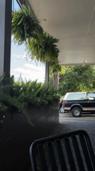Evening documentation of residential Austin location includes patio, building exterior