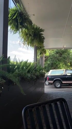 Evening documentation of residential Austin location includes patio, building exterior