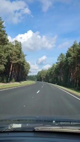 The video shows a first-person view from a vehicle driving on a paved road. The road is flanked by dense forest on both sides. The trees are tall and appear to be pine trees. The sky is blue with scattered white clouds. The road has white lane markings. The dashboard of the vehicle is visible at the bottom of the frame. There are no people or other vehicles visible in the immediate vicinity. The overall impression is a scenic drive through a wooded area on a sunny day.
