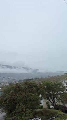 A daytime, static, vertical shot shows a panoramic view of a city nestled in a valley with mountains in the background. The sky is overcast and grey. The mountains are partially obscured by low-hanging clouds. In the foreground, on the left, a portion of a white building with an antenna and two tall, slender trees is visible. Below the building, a wet street with parked cars is visible. Other buildings and houses with various colored roofs are scattered throughout the midground, indicating a populated area. Lush green trees are seen in the lower right and center. The overall impression is a cloudy, possibly rainy day.