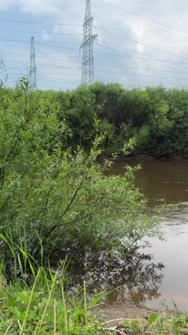 The video shows a wide shot of a calm river on an overcast day. The river is brown and murky, reflecting the cloudy sky. Dense green foliage lines the riverbanks, with tall trees visible in the distance. Two tall power pylons with overhead power lines are prominent in the background, one to the left of the frame and another further in the distance to the right. The foreground consists of grassy banks and some fallen branches. The camera pans slowly across the river and its surroundings, capturing the tranquil, natural landscape.