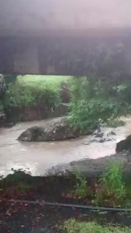 A muddy, fast-flowing river or stream is visible, possibly swollen from rain. Trees and greenery surround the waterway, and there appears to be some kind of concrete structure or bridge overhead, casting a shadow. The camera is moving, giving a slightly blurry, handheld perspective.