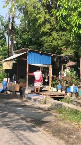 A static, medium shot captures an outdoor scene. On the right, a small, open-air kiosk with a blue corrugated metal roof and white walls is visible. A woman in a colorful floral dress stands facing the kiosk. She is near the entrance, with her left arm extended, touching a wooden support. Two individuals are seated inside the kiosk, one in the foreground and another further back. To the left of the kiosk, a wooden cart with various items is positioned. In front of the kiosk, a set of blue-tiled steps leads up to a wooden platform. Potted plants are arranged on the platform and around the kiosk. A dirt path or road is in the foreground, with green foliage and trees surrounding the area. The lighting suggests daylight.