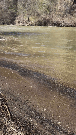 Murky river water with foam observed in Lyutibrod, Bulgaria