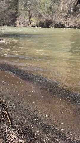 The video shows a river with murky brown water flowing past a sandy beach. There are clumps of foam or scum floating on the water surface. The riverbank is lined with trees and shrubs, most of which are bare. A rocky cliff face is visible on the right side of the frame. The sky is blue. The camera is stationary.