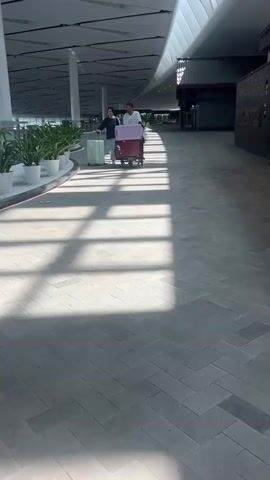 Two people are walking down a wide, well-lit hallway, possibly in an airport or a large public building. They are pulling luggage carts with several suitcases on them. The hallway has a tiled floor with a herringbone pattern and large windows that cast striped shadows across the floor. There are plants in pots lining the left side of the hallway. The people are dressed casually, with one wearing a dark top and the other a white t-shirt. They appear to be moving away from the camera.
