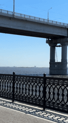 Women with bicycles gather on sunny Saratov riverbank