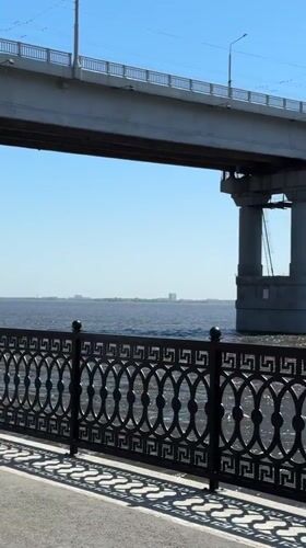 Women with bicycles gather on sunny Saratov riverbank